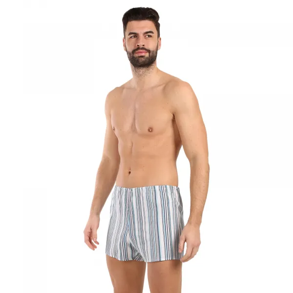 Klasické pánske trenky Foltýn svetlé prúžky (K59) M, trenírky