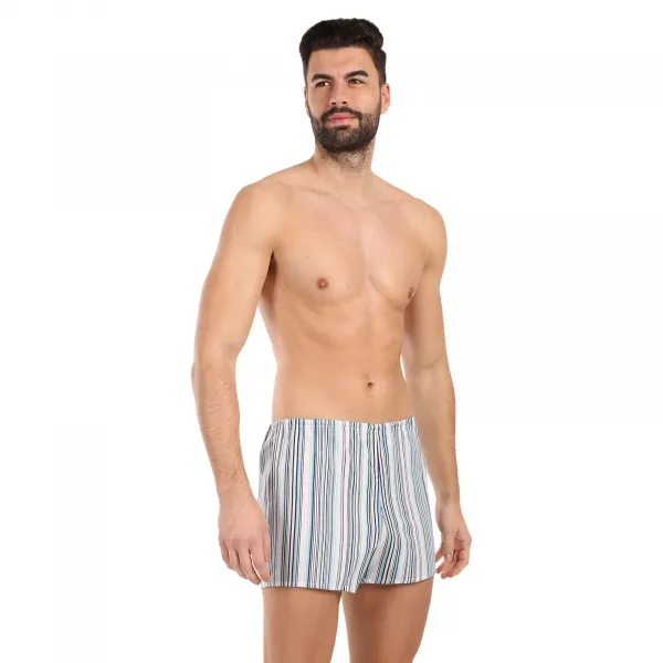 Klasické pánske trenky Foltýn svetlé prúžky (K59) M, trenírky