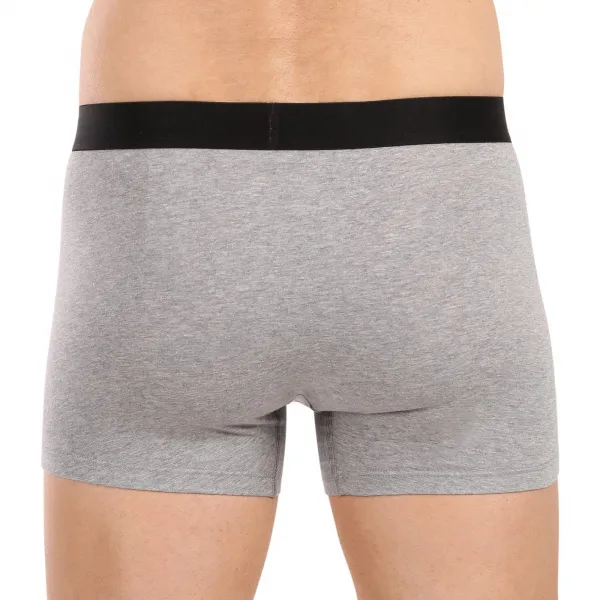 2PACK pánske boxerky Puma viacfarebné (701231477 002) L, trenky