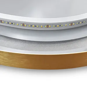 Tutumi Oválné nástěnné zrcadlo s LED osvětlením OVL 50x100 cm zlaté