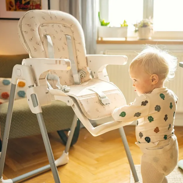 Konštrukcia jedálenskej stoličky Gusto