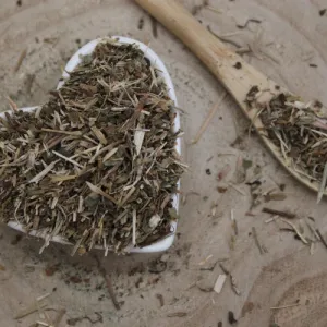 Zádušník brečtanovitý - vňať narezaná - Glechoma hederacea - Herba hederae terrestris Emerosa 50 g