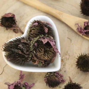 Echinacea purpurová - kvet celý - Echinacea purpurea - Flos echinaceae Emerosa 50 g
