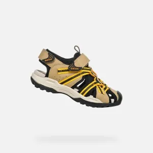 Beige boys' sandals Geox Borealis - Boys