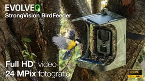 EVOLVEO StrongVision BirdFeeder - Inteligentné kŕmidlo pre vtáky s kamerou a solárnym panelom