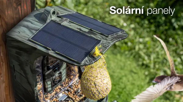 EVOLVEO StrongVision BirdFeeder - Inteligentné kŕmidlo pre vtáky s kamerou a solárnym panelom