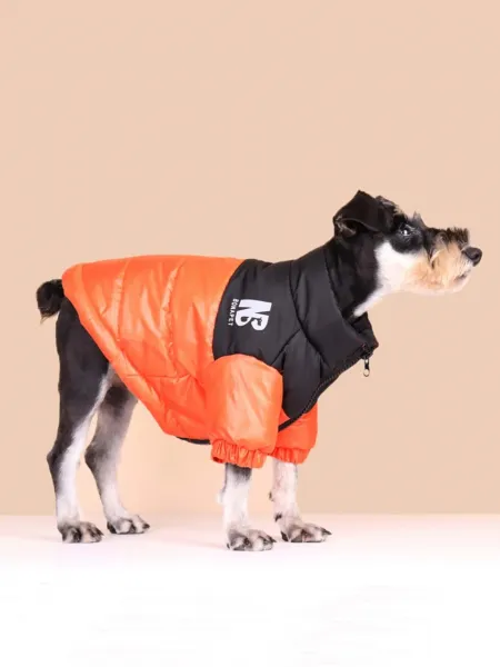 Oranžová vetrovka pre psa