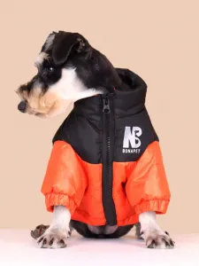 Oranžová vetrovka pre psa