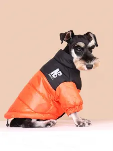 Oranžová vetrovka pre psa