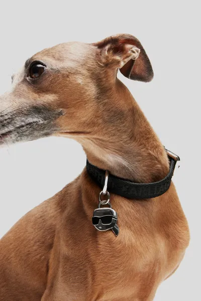 Obojok Karl Lagerfeld K/Pet Ikon Collar Black