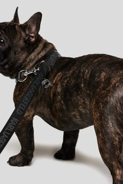 Vodítko Karl Lagerfeld K/Pet Ikon Leash+Bag Black