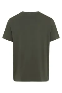 Tričko Camel Active Nos T-Shirt 1/2Arm Leaf Green