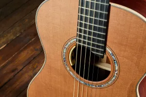 Dowina 2022 GDE Cocobolo Master Series
