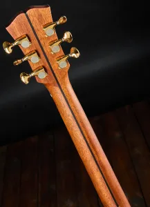 Dowina 2022 GDE Cocobolo Master Series