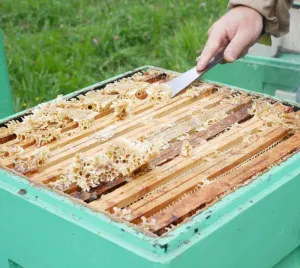 Včelárskedlátonerezové26cm
