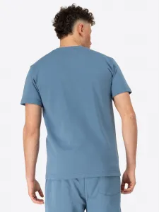 Benlee Men's t-shirt regular fit