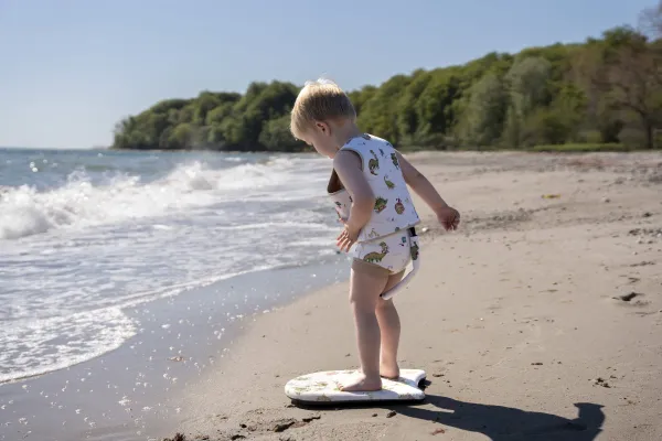 FILIBABBA BODY BOARD FILIBABBA-Dino Beach