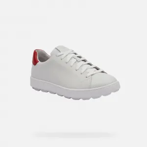 White men's sneakers Geox Spherica Ecub-1 - Men's