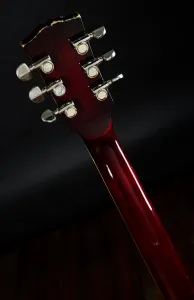 Aria Pro 2 70s LS600 Wine Red