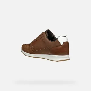 Brown men's sneakers Geox Avery - Men's