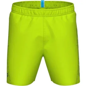 Pánske plavky ARENA FUNDAMENTALS LOGO BOXER R-ARTIC LIME-MANGROVE