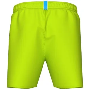 Pánske plavky ARENA FUNDAMENTALS LOGO BOXER R-ARTIC LIME-MANGROVE