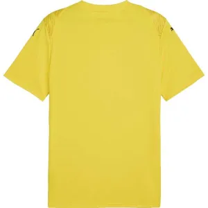 Puma TEAMGLORY JERSEY Pánske futbalové tričko, žltá, veľkosť