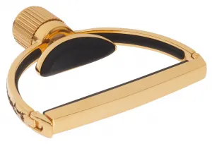 G7th Heritage 2 Guitar Wide Gold