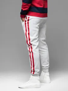 Pánske tepláky OMBRE Pants OM-PASK-0258 V-1ight greyelange