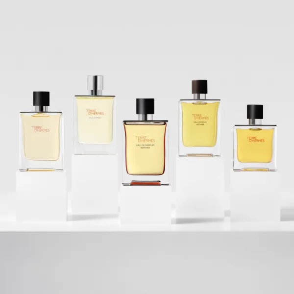 HERMÈS Terre d’Hermès Eau de Parfum Intense parfumovaná voda intense pre mužov 100 ml