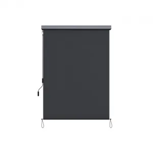 SONGMICS Vertikálna markíza Orrine 250x160 cm sivá