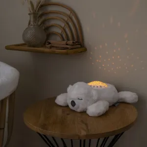 Projektor hudobný so svetlom medvedík white