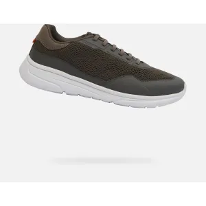 Khaki men's sneakers Geox Klaiver - Men's