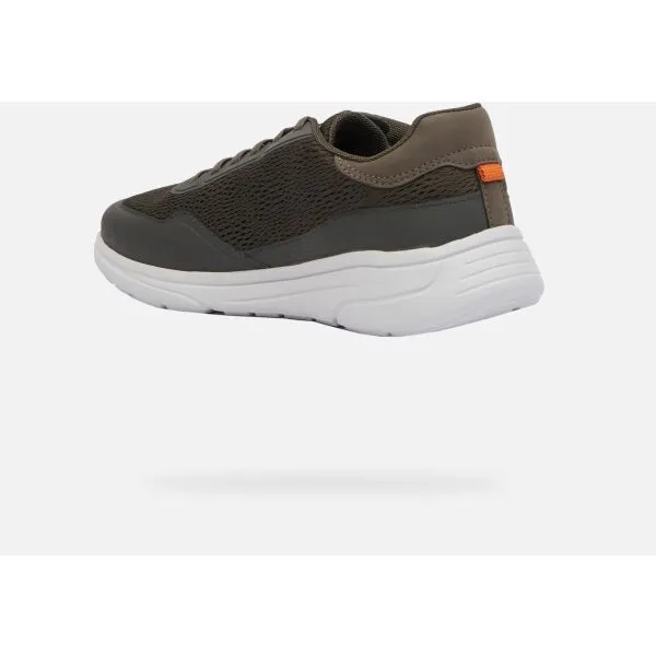 Khaki men's sneakers Geox Klaiver - Men's