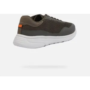 Khaki men's sneakers Geox Klaiver - Men's