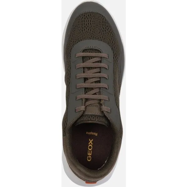 Khaki men's sneakers Geox Klaiver - Men's