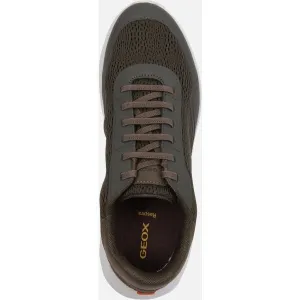 Khaki men's sneakers Geox Klaiver - Men's