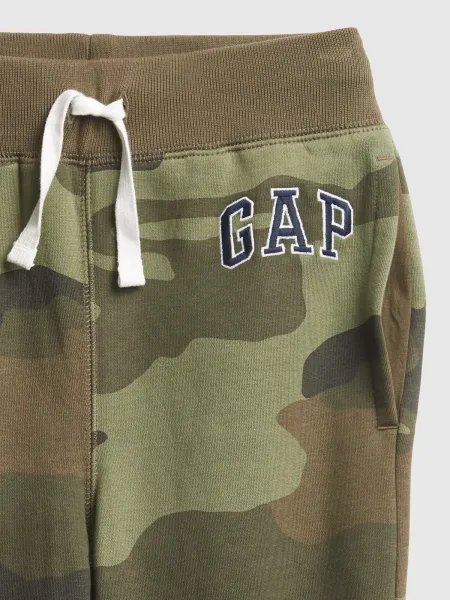 GAP