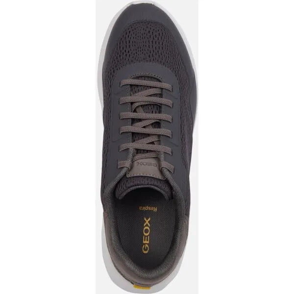 Dark grey men's sneakers Geox Klaiver - Men's