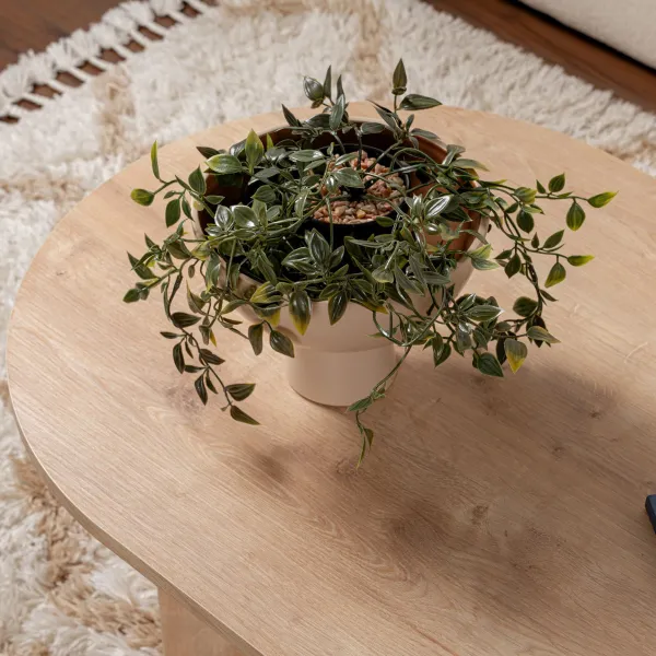 Konferenčný stolík Sable - Sapphire Oak