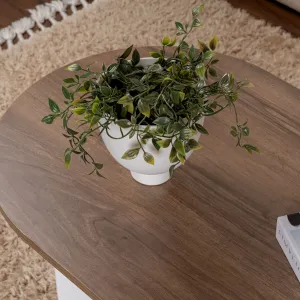 Konferenčný stolík Sable - Walnut, White