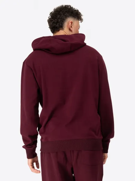 Benlee Men's hooded sweatshirt regular fit