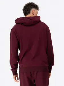 Benlee Men's hooded sweatshirt regular fit
