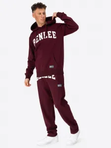 Benlee Men's hooded sweatshirt regular fit