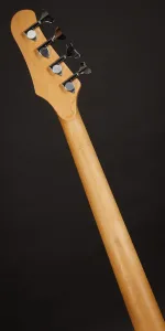 Carvin SB4000 Spalted Gloss HS