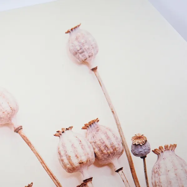 Nástenná dekorácia POPPY WOOD Ø 58 cm