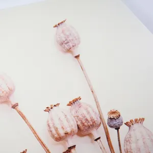 Nástenná dekorácia POPPY WOOD Ø 58 cm