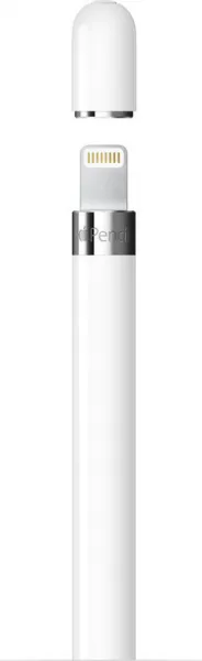 Apple Pencil (1. generácie) + USB-C adaptér, MYQW3ZM/A