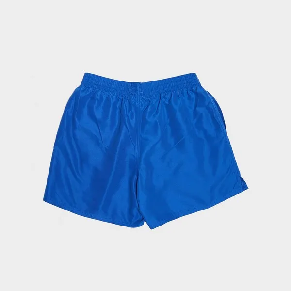 Nike ESSENTIAL LAP 5 Pánske plavecké šortky, modrá, veľkosť