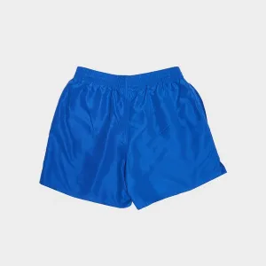 Nike ESSENTIAL LAP 5 Pánske plavecké šortky, modrá, veľkosť
